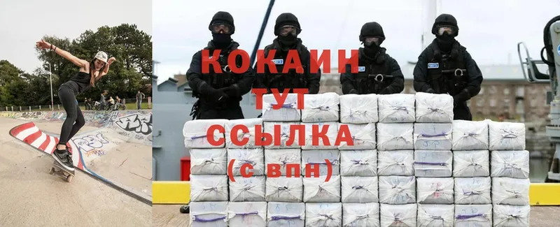 Cocaine Fish Scale  мега зеркало  Кизилюрт  купить  